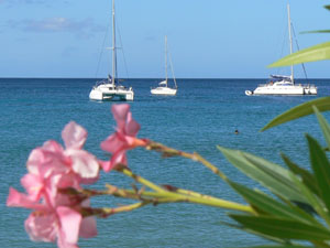 Martinique in November